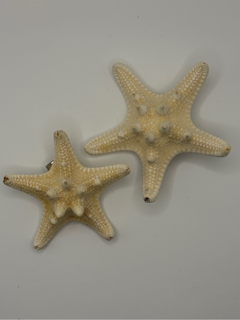 Pretty Natural Starfish Star Hair Clip Beige (2" & 3") - Picture 3 of 5